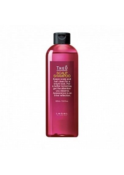 Многофункциональный шампунь THEO SCALP SHAMPOO