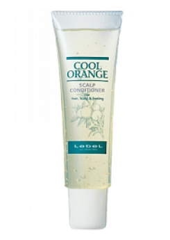 Кондиционер очиститель COOL ORANGE
